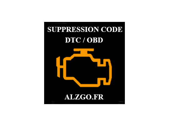 SUPPRESSION CODE DTC / OBD CITROEN