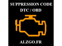 SUPPRESSION CODE DTC / OBD FIAT