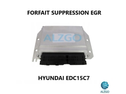 FORFAIT SUPPRESSION EGR HYUNDAI EDC15C7