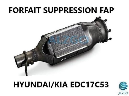 FORFAIT SUPPRESSION FAP HYUNDAI/KIA EDC17C53