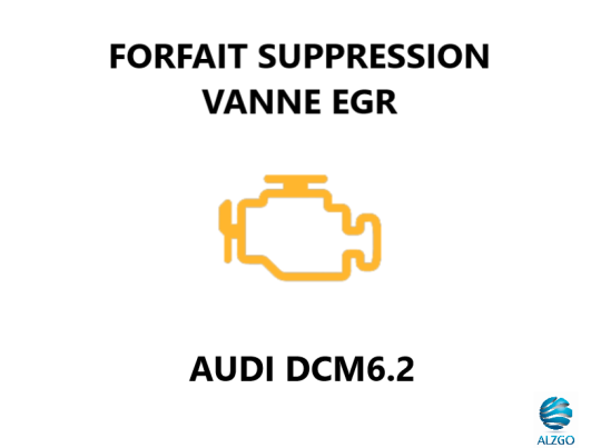 FORFAIT SUPPRESSION VANNE EGR AUDI DCM6.2