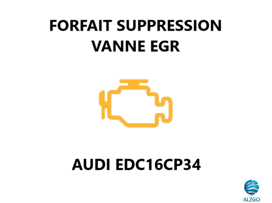 FORFAIT SUPPRESSION VANNE EGR AUDI EDC16CP34