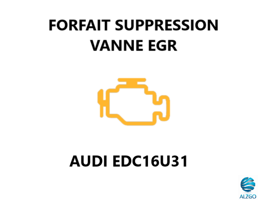 FORFAIT SUPPRESSION VANNE EGR AUDI EDC16U31