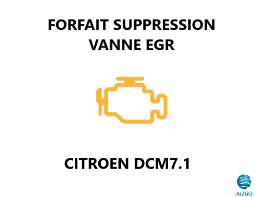 FORFAIT SUPPRESSION VANNE EGR CITROEN DCM7.1