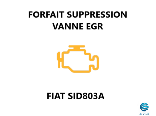 FORFAIT SUPPRESSION VANNE EGR FIAT SID 803A