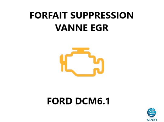 FORFAIT SUPPRESSION VANNE EGR FORD DCM6.1
