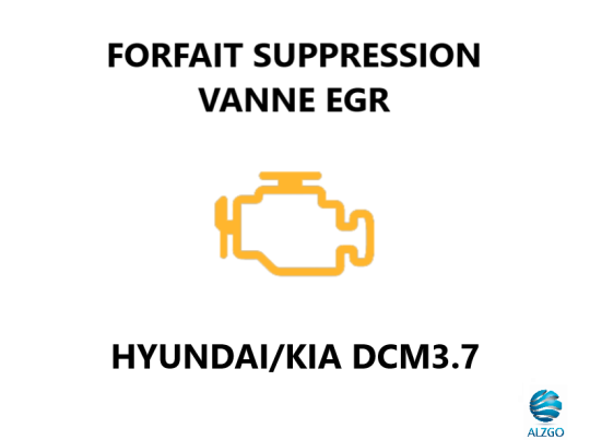 FORFAIT SUPPRESSION VANNE EGR HYUNDAI/KIA DCM3.7