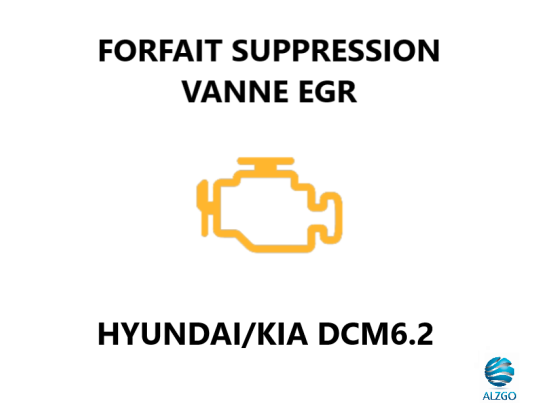 FORFAIT SUPPRESSION VANNE EGR HYUNDAI/KIA DCM6.2