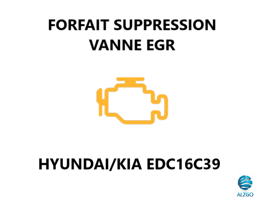 FORFAIT SUPPRESSION VANNE EGR HYUNDAI/KIA EDC16C39