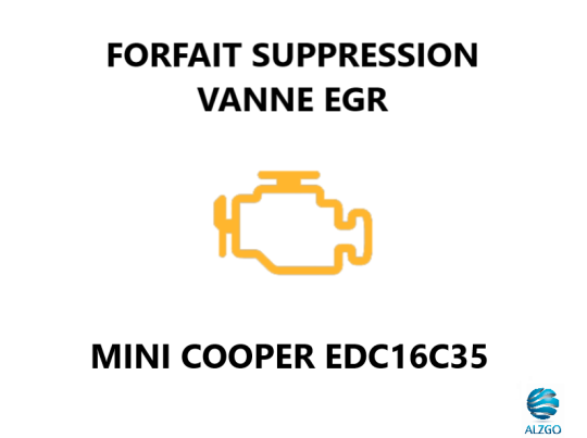 FORFAIT SUPPRESSION VANNE EGR MINI COOPER EDC16C35