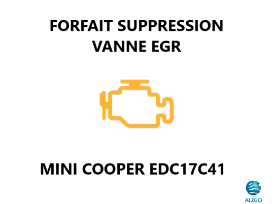 FORFAIT SUPPRESSION VANNE EGR MINI COOPER EDC17C41