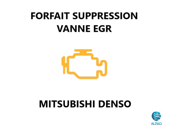 FORFAIT SUPPRESSION VANNE EGR MITSUBISHI DENSO