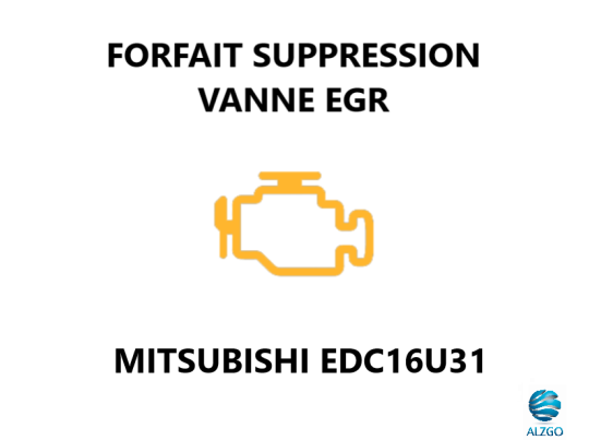 FORFAIT SUPPRESSION VANNE EGR MITSUBISHI EDC16U31