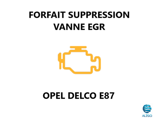 FORFAIT SUPPRESSION VANNE EGR OPEL DELCO E87