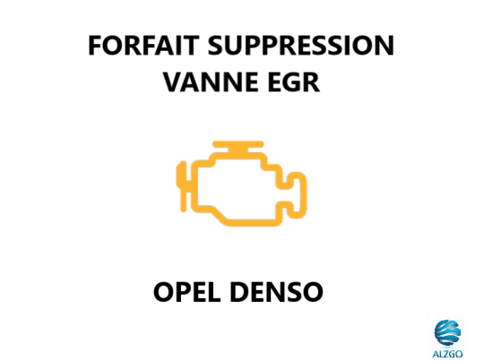 FORFAIT SUPPRESSION VANNE EGR OPEL DENSO