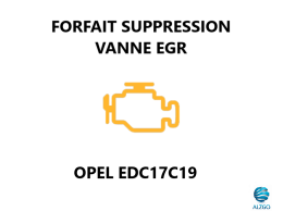 FORFAIT SUPPRESSION VANNE EGR OPEL EDC17C19