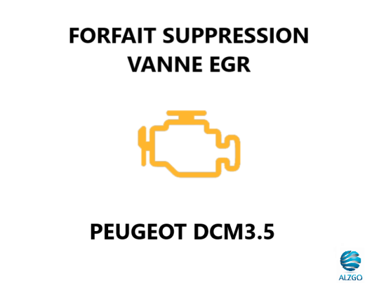 FORFAIT SUPPRESSION VANNE EGR PEUGEOT DCM3.5