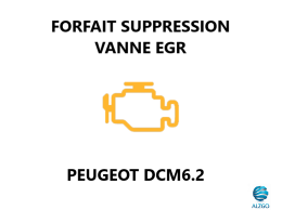 FORFAIT SUPPRESSION VANNE EGR PEUGEOT DCM6.2
