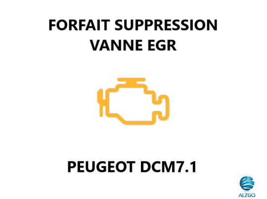 FORFAIT SUPPRESSION VANNE EGR PEUGEOT DCM7.1