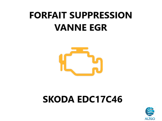 FORFAIT SUPPRESSION VANNE EGR SKODA EDC17C46