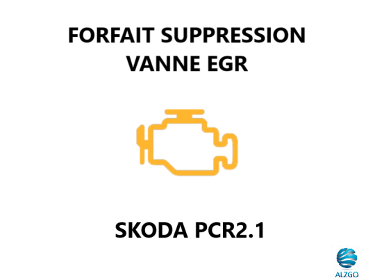 FORFAIT SUPPRESSION VANNE EGR SKODA PCR2.1