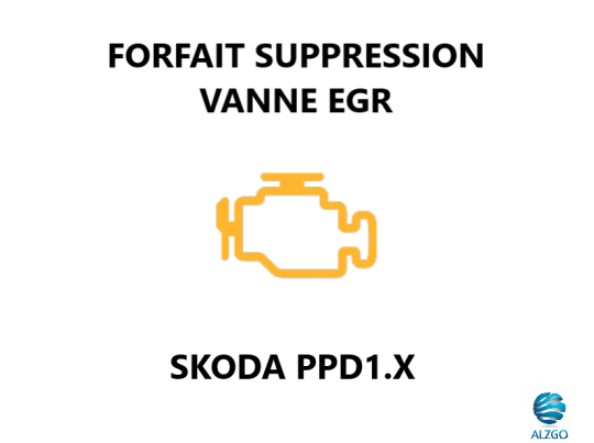 FORFAIT SUPPRESSION VANNE EGR SKODA PPD1.X