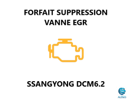 FORFAIT SUPPRESSION VANNE EGR SSANGYONG DCM6.2