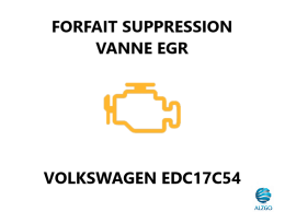 FORFAIT SUPPRESSION VANNE EGR VOLKSWAGEN EDC17C54