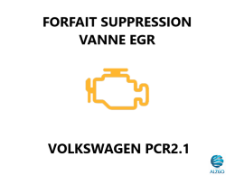 FORFAIT SUPPRESSION VANNE EGR VOLKSWAGEN PCR2.1