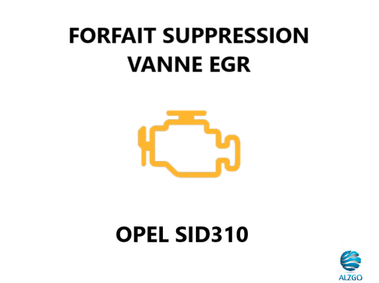FORFAIT SUPPRESSION VANNE EGR OPEL SID 310
