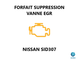 FORFAIT SUPPRESSION VANNE EGR NISSAN SID 307