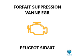 FORFAIT SUPPRESSION VANNE EGR PEUGEOT SID 807