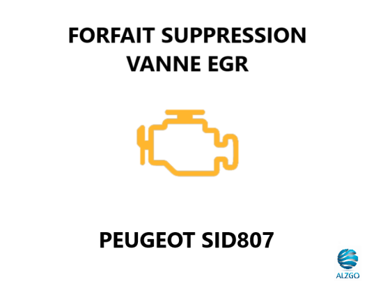 FORFAIT SUPPRESSION VANNE EGR PEUGEOT SID 807