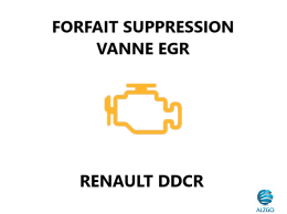 FORFAIT SUPPRESSION VANNE EGR RENAULT DDCR