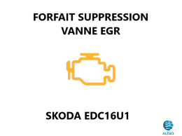 FORFAIT SUPPRESSION VANNE EGR SKODA EDC16U1