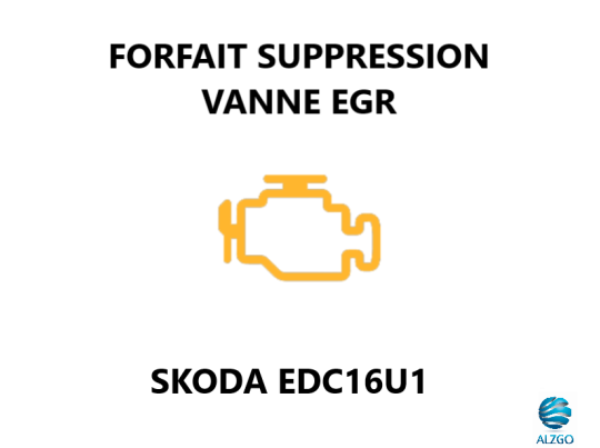 FORFAIT SUPPRESSION VANNE EGR SKODA EDC16U1