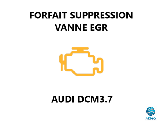FORFAIT SUPPRESSION VANNE EGR AUDI DCM3.7
