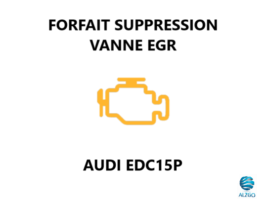 FORFAIT SUPPRESSION VANNE EGR AUDI EDC15P