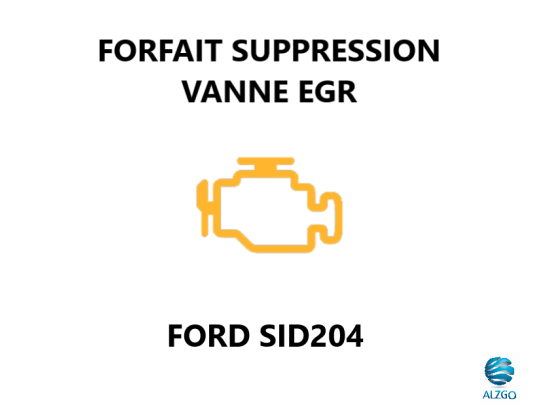 FORFAIT SUPPRESSION VANNE EGR FORD SID 204