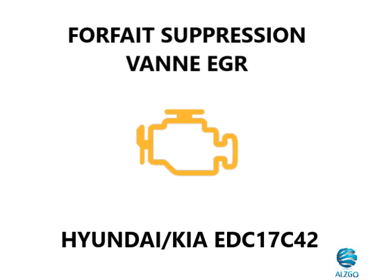 FORFAIT SUPPRESSION VANNE EGR HYUNDAI/KIA EDC17C42