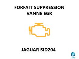 FORFAIT SUPPRESSION VANNE EGR JAGUAR SID204