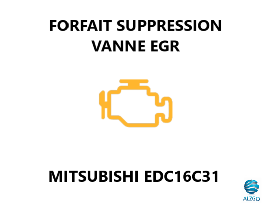 FORFAIT SUPPRESSION VANNE EGR MITSUBISHI EDC16C31