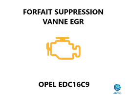 FORFAIT SUPPRESSION VANNE EGR OPEL EDC16C9