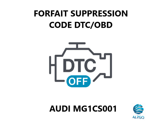 FORFAIT SUPPRESSION CODE DTC/OBD AUDI MG1CS001