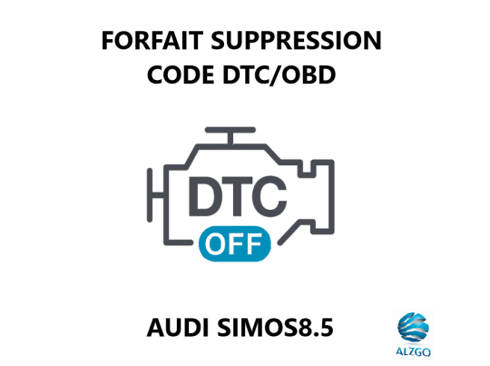 FORFAIT SUPPRESSION CODE DTC/OBD AUDI SIMOS8.5