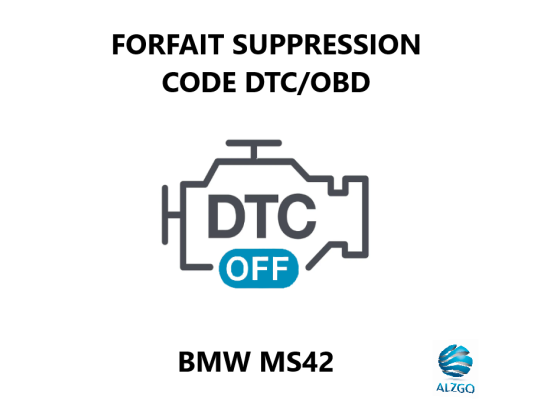 FORFAIT SUPPRESSION CODE DTC/OBD BMW MS42