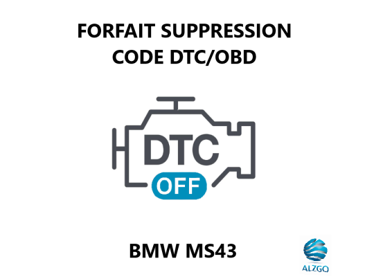 FORFAIT SUPPRESSION CODE DTC/OBD BMW MS43