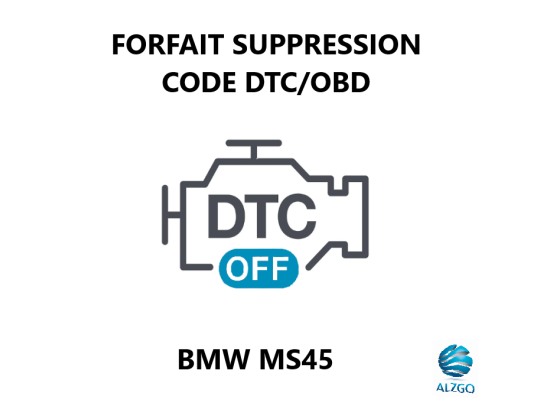 FORFAIT SUPPRESSION CODE DTC/OBD BMW MS45