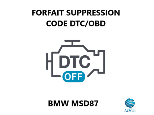FORFAIT SUPPRESSION CODE DTC/OBD BMW MSD87