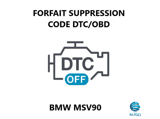 FORFAIT SUPPRESSION CODE DTC/OBD BMW MSV90